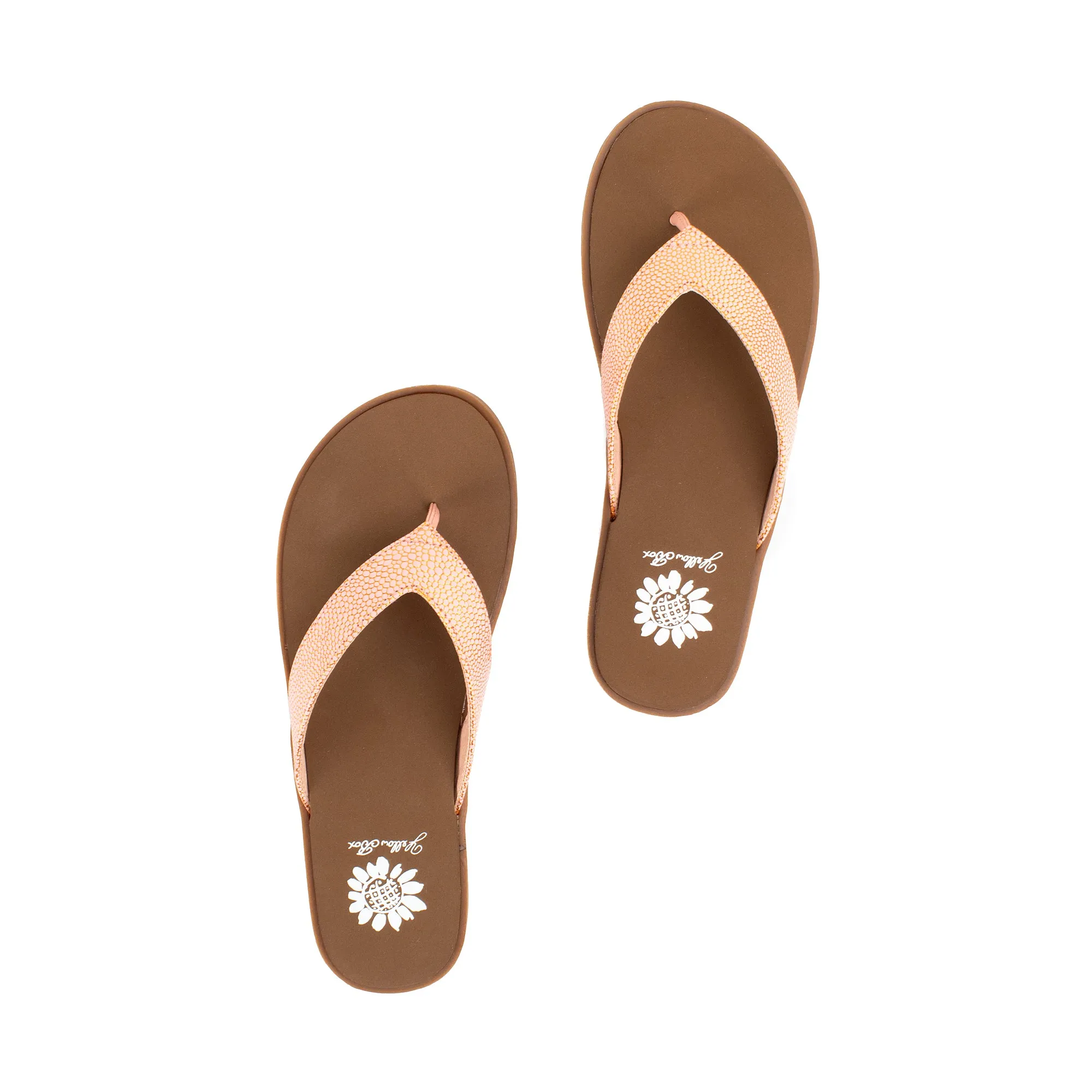 Fanzie Flip Flop Sandal