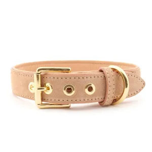 Suede Leather Dog Collar by William Walker - Coral